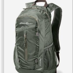 Stowaway Eddie Bauer backpack